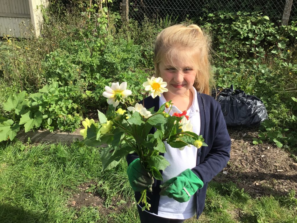 Child in allotment